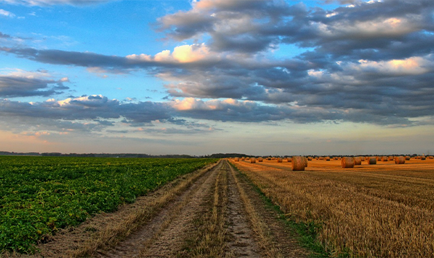  Narduzzi-Bedini:  “L’agricoltura non può più aspettare”