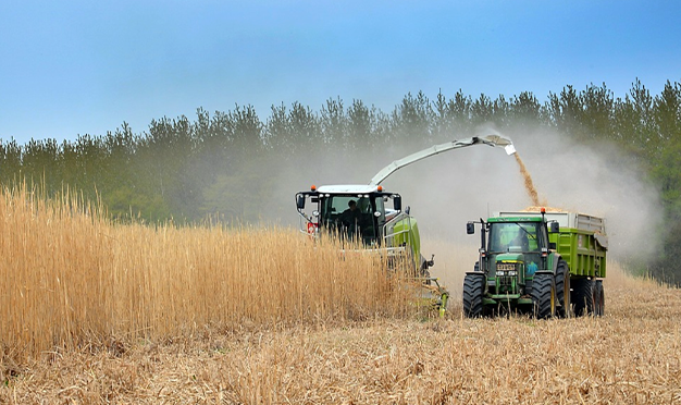  Agricoltura, approvati gli Odg di Fratelli d’Italia per lo sviluppo sostenibile ed innovativo